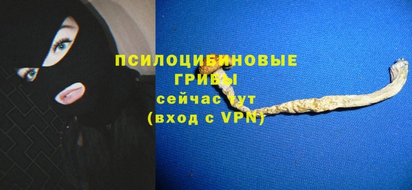 индика Алзамай