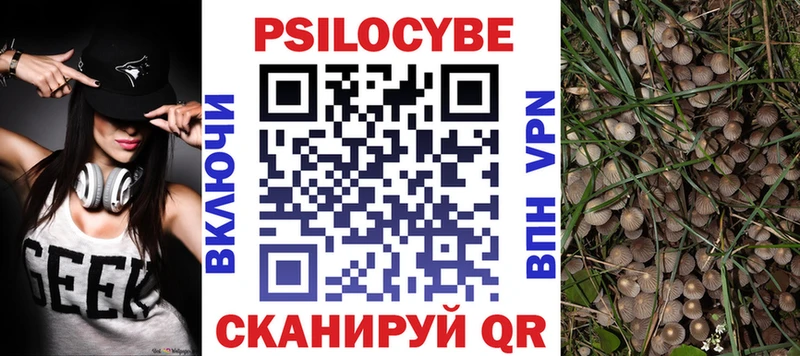 Псилоцибиновые грибы ЛСД Чистополь