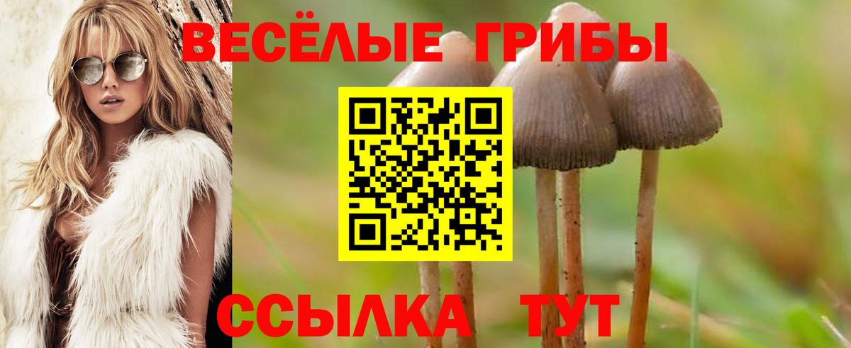 Псилоцибиновые грибы Magic Shrooms  Вход с VPN  Чистополь 